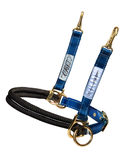 Stübben LK Controller For Stable Halters
