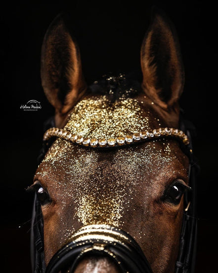 Utzon Empire Browband