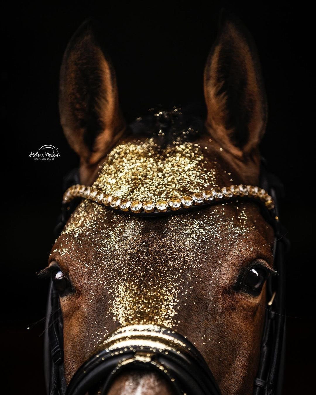 Utzon Empire Browband