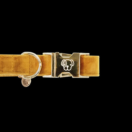 Kentucky Hondenhalsband Velvet