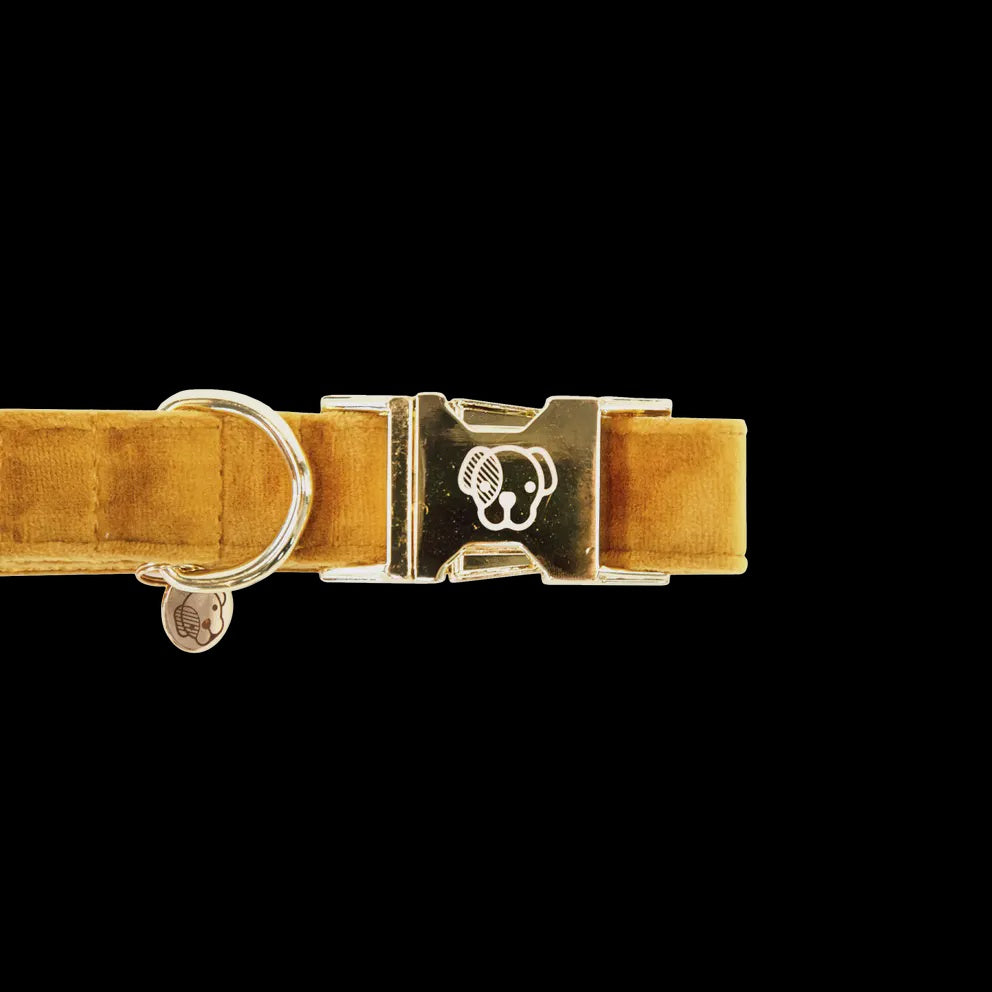 Kentucky Hondenhalsband Velvet