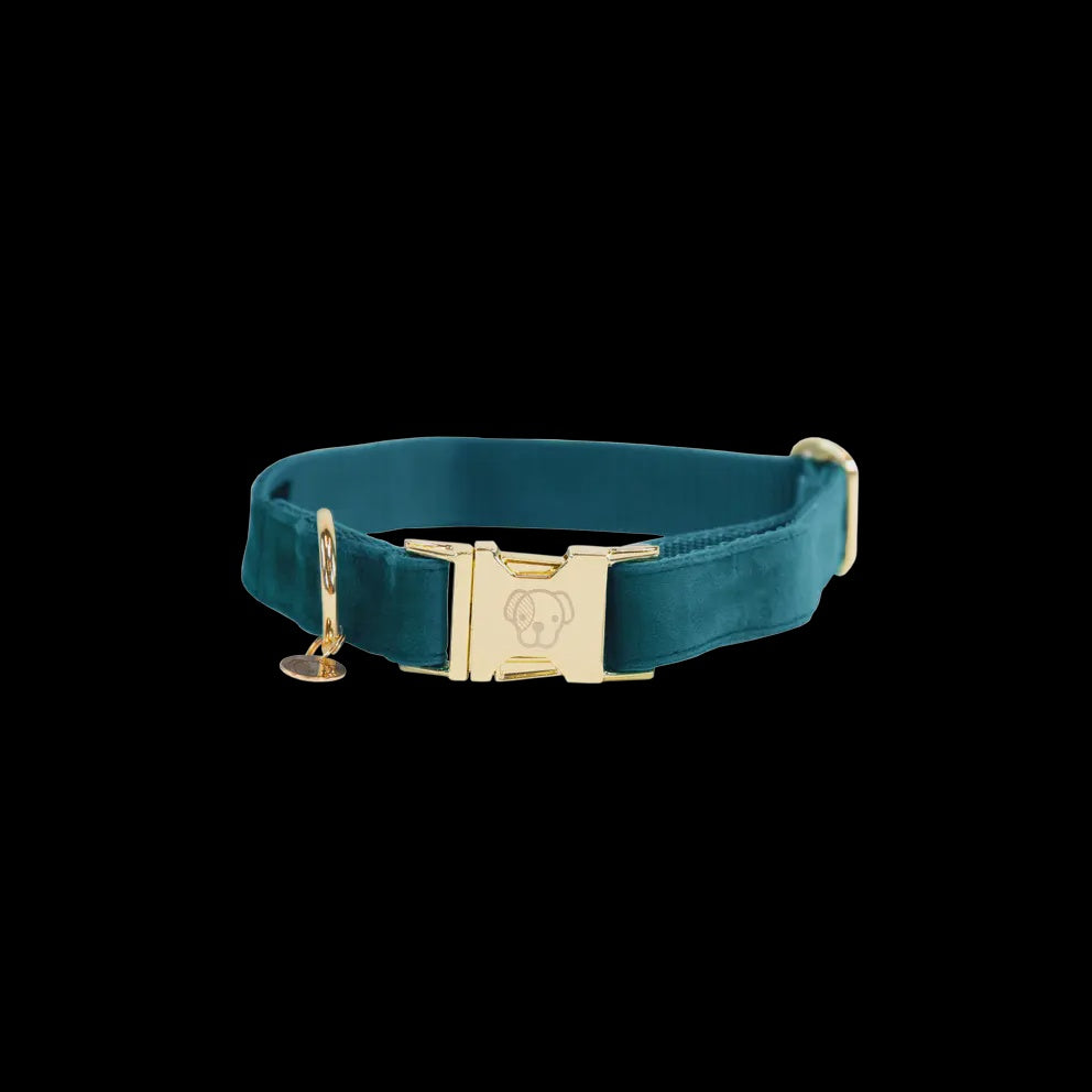 Kentucky Hondenhalsband Velvet