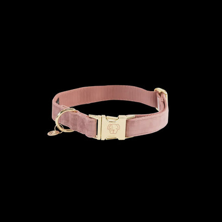Kentucky Hondenhalsband Velvet