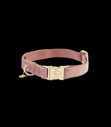 Kentucky Hondenhalsband Velvet
