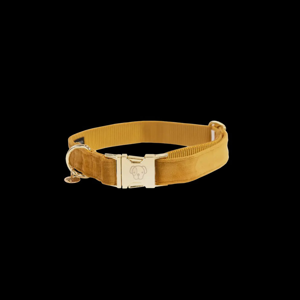 Kentucky Hondenhalsband Velvet