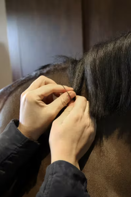 Kentucky Mähnengummis