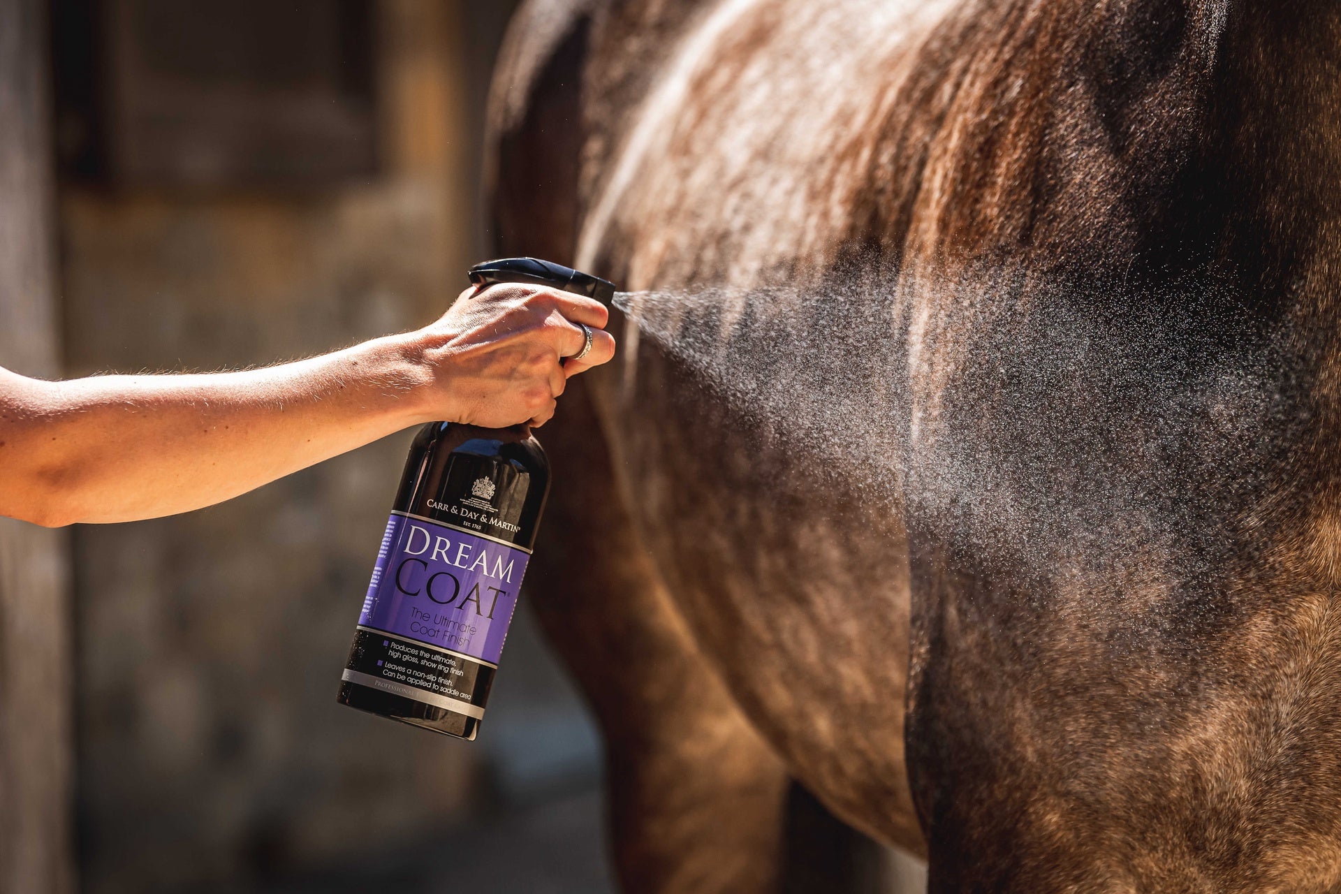 Carr&day&martin Dreamcoat - Glansspray