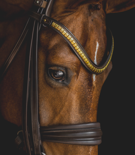 Utzon Frontriem clinchers