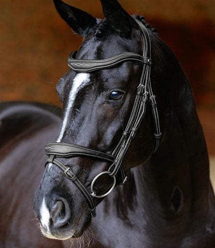 LeMieux Kudos Contour Flash Hoofdstel