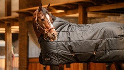 Trust Tetris Staldeken 200g