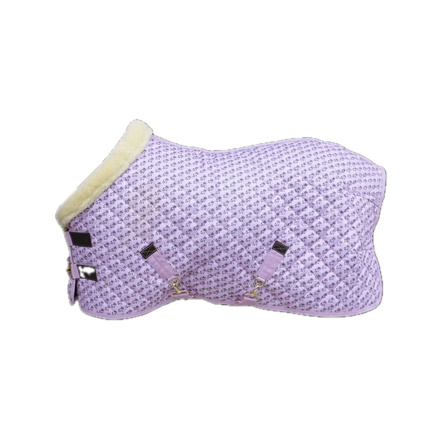 Kentucky Sammy Show Rug