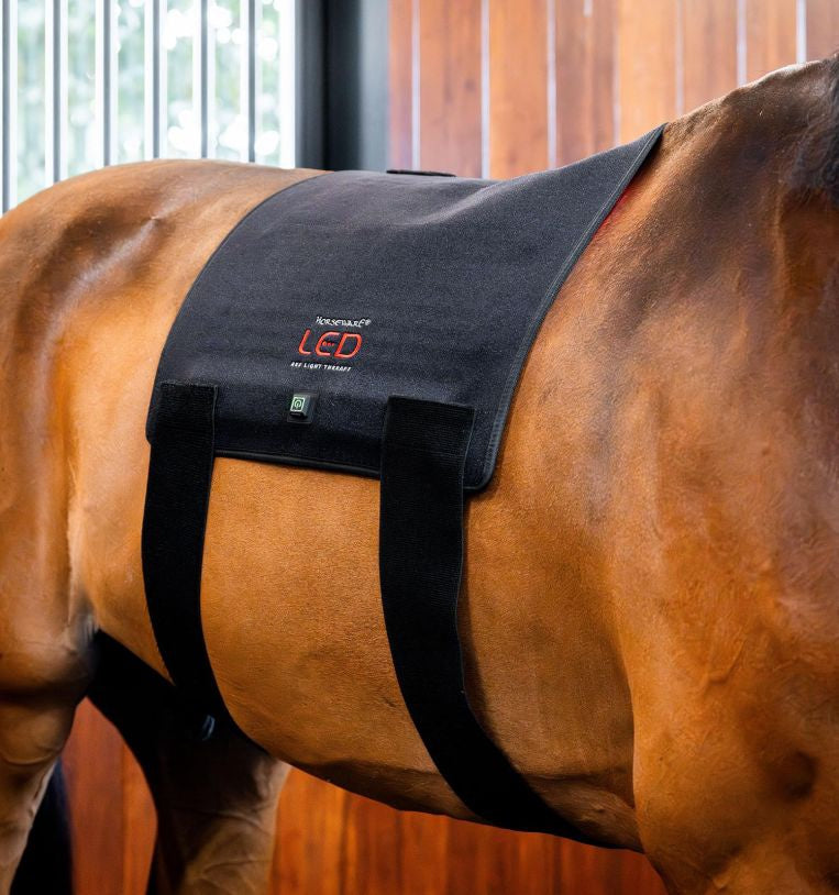 HorseWare Led Red Light Therapy Pad