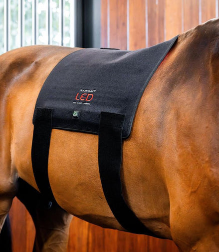 HorseWare Led Red Light Therapy Pad