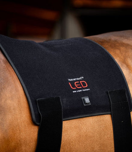 HorseWare Led Red Light Therapy Pad