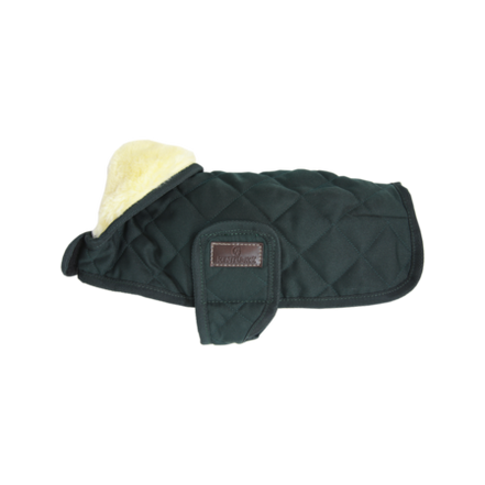 Kentucky Hondenjasje Original