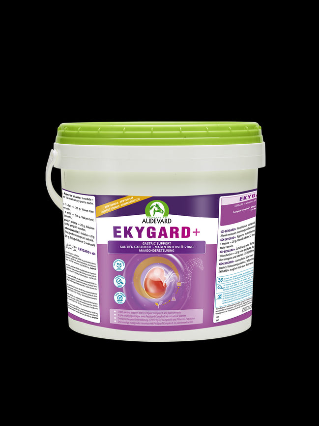 Audevard Ekygard + 6kg