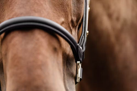 Kentucky Anatomische Leder Halster