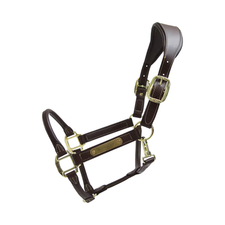 Kentucky Anatomische Leder Halster
