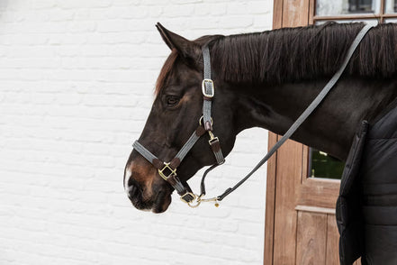 Kentucky Gevlochten Nylon halster