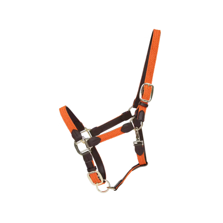 Kentucky Gevlochten Nylon halster