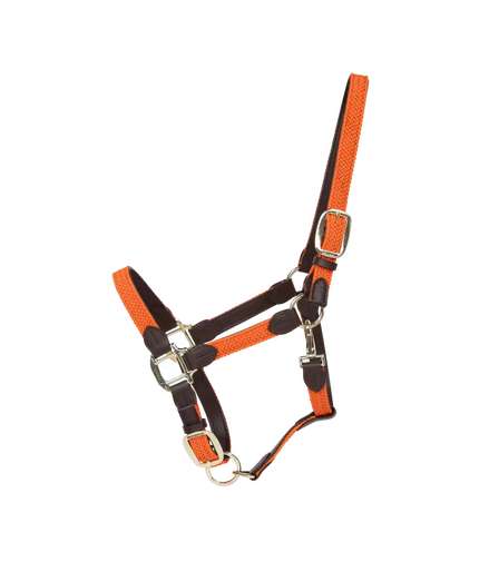 Kentucky Gevlochten Nylon halster