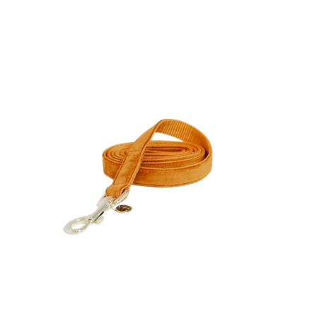 Kentucky Dog Leash Velvet