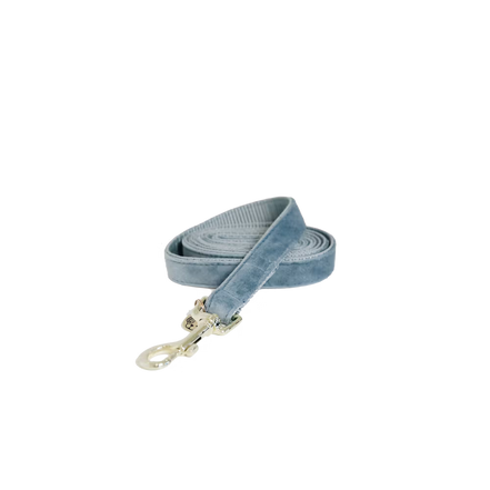 Kentucky Dog Leash Velvet