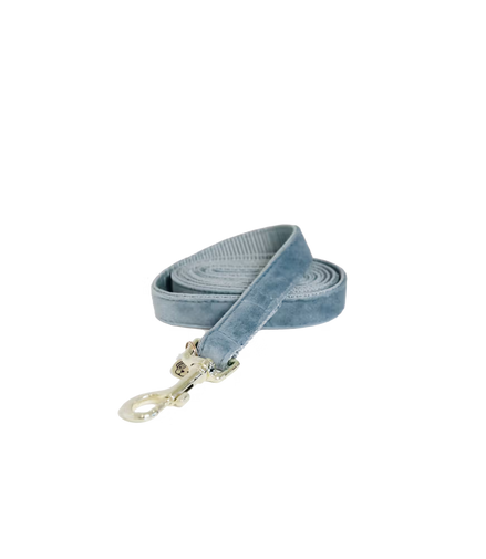 Kentucky Dog Leash Velvet