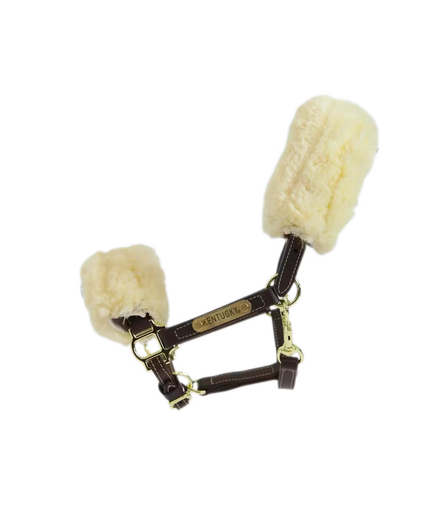 Kentucky Leder halster + wol (afneembaar)