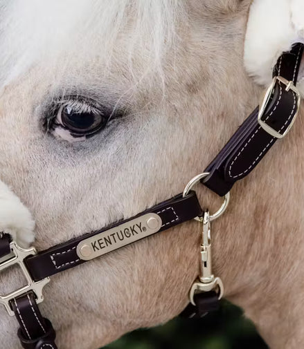 Kentucky Leder halster + wol (afneembaar)