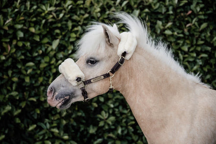 Kentucky Leder halster + wol (afneembaar)