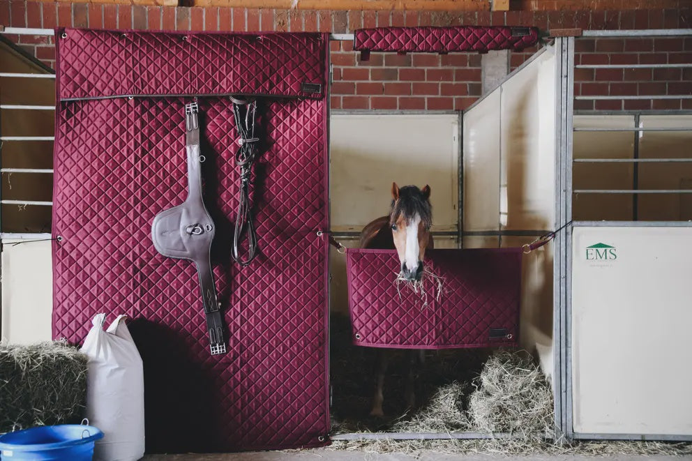 Kentucky Head Protector