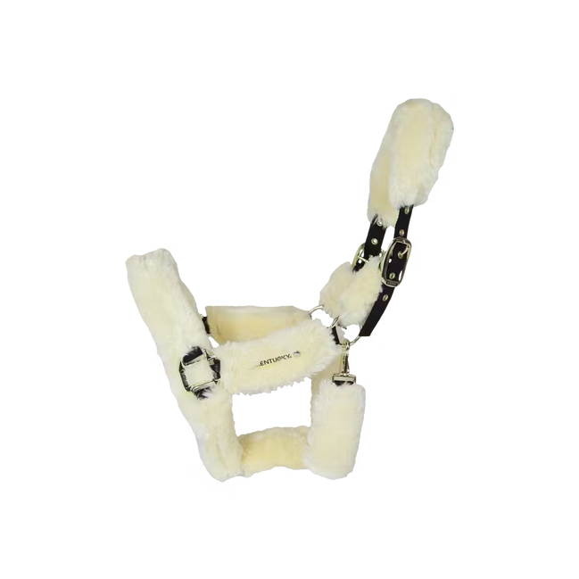 Kentucky Wollen Transport Halster