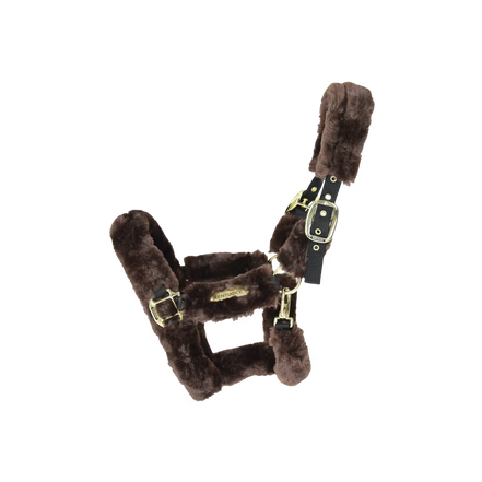 Kentucky Wollen Transport Halster