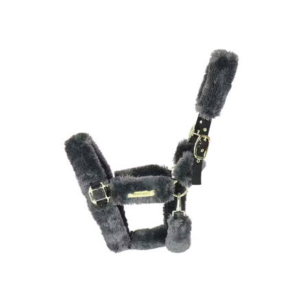 Kentucky Wollen Transport Halster