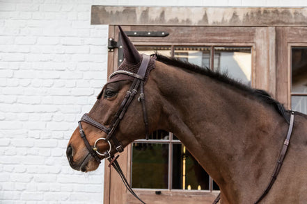 Kentucky Oornetje Wellington Soundless