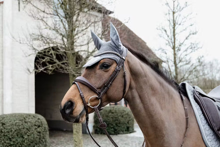 Kentucky Oornetje Wellington Velvet Basic