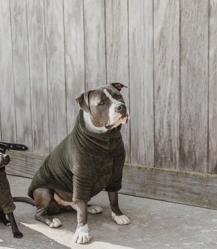 Kentucky Honden sweater Teddy Fleece