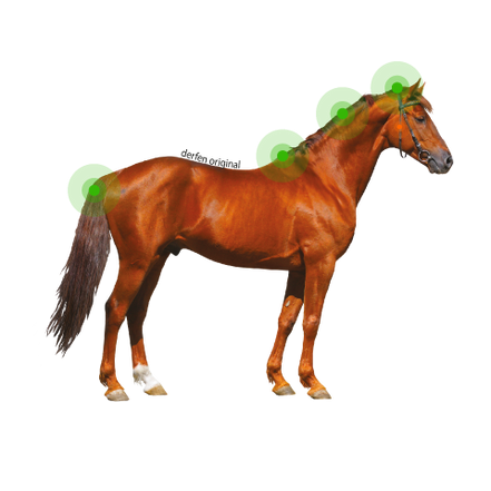 Animaderm Derfen Original Lotion – Intensive Care for Itching & Skin Irritation 250ml