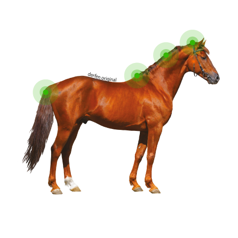 Animaderm Derfen Original Lotion – Intensive Care for Itching & Skin Irritation 250ml