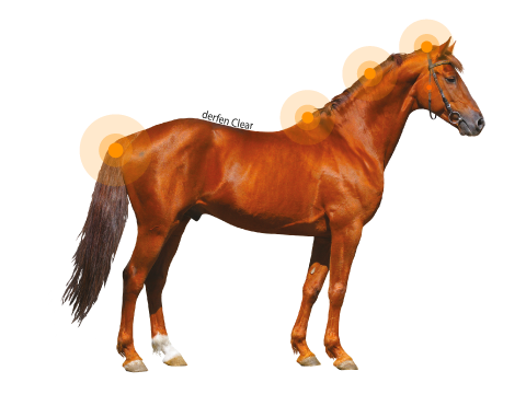 Animaderm Derfen Clear Lotion – Soothes & Protects Sensitive Skin