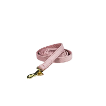 Kentucky Dog Leash Velvet