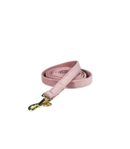 Kentucky Dog Leash Velvet