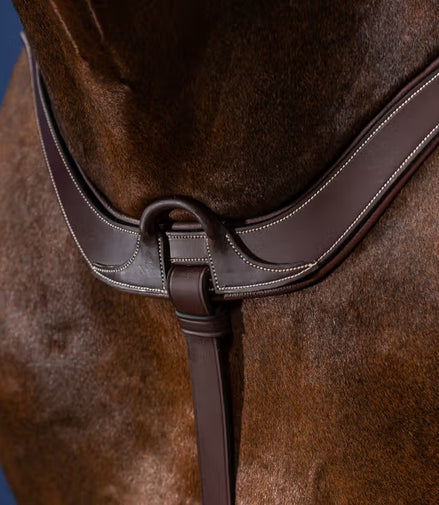 Dy'on 5-Point Breastplate