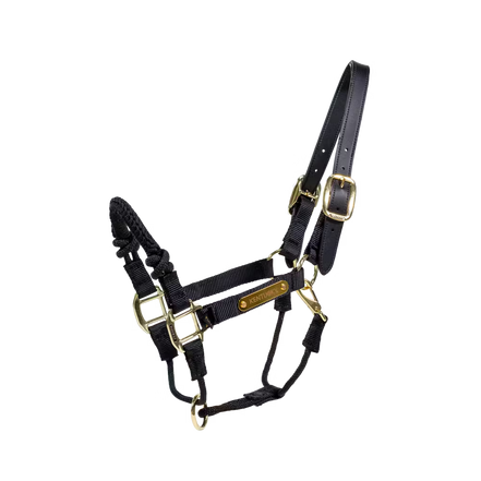 Kentucky Control Halter Nylon