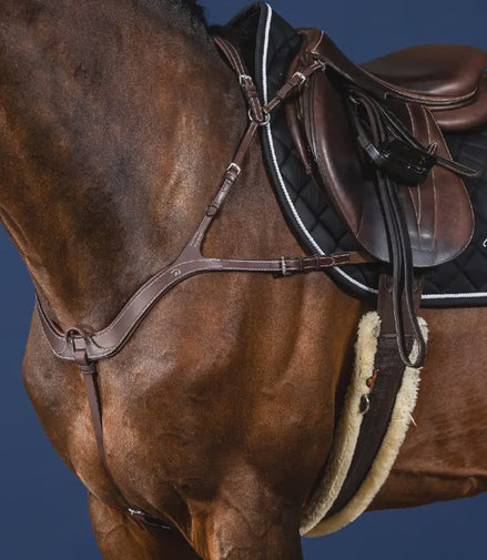 Dy'on 5-Point Breastplate