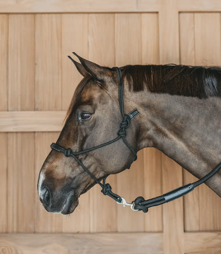 Dy'on Training Halster