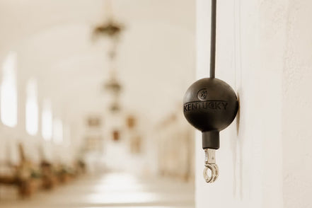 Kentucky Rubber Ball Protection wall & lead