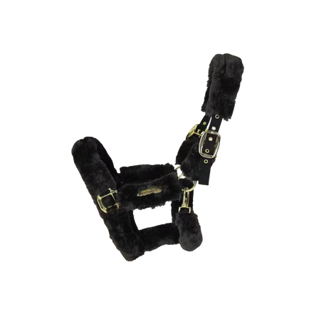 Kentucky Wollen Transport Halster