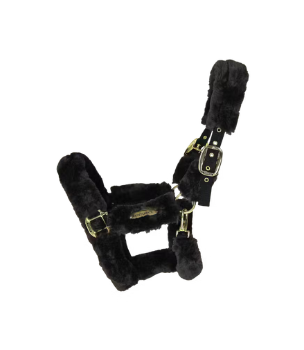 Kentucky Wollen Transport Halster